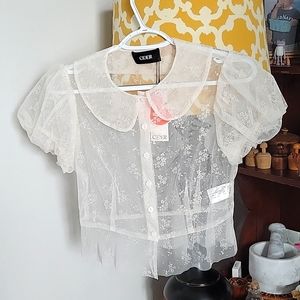 NWT Cider brand Lace Round Collar Shirt